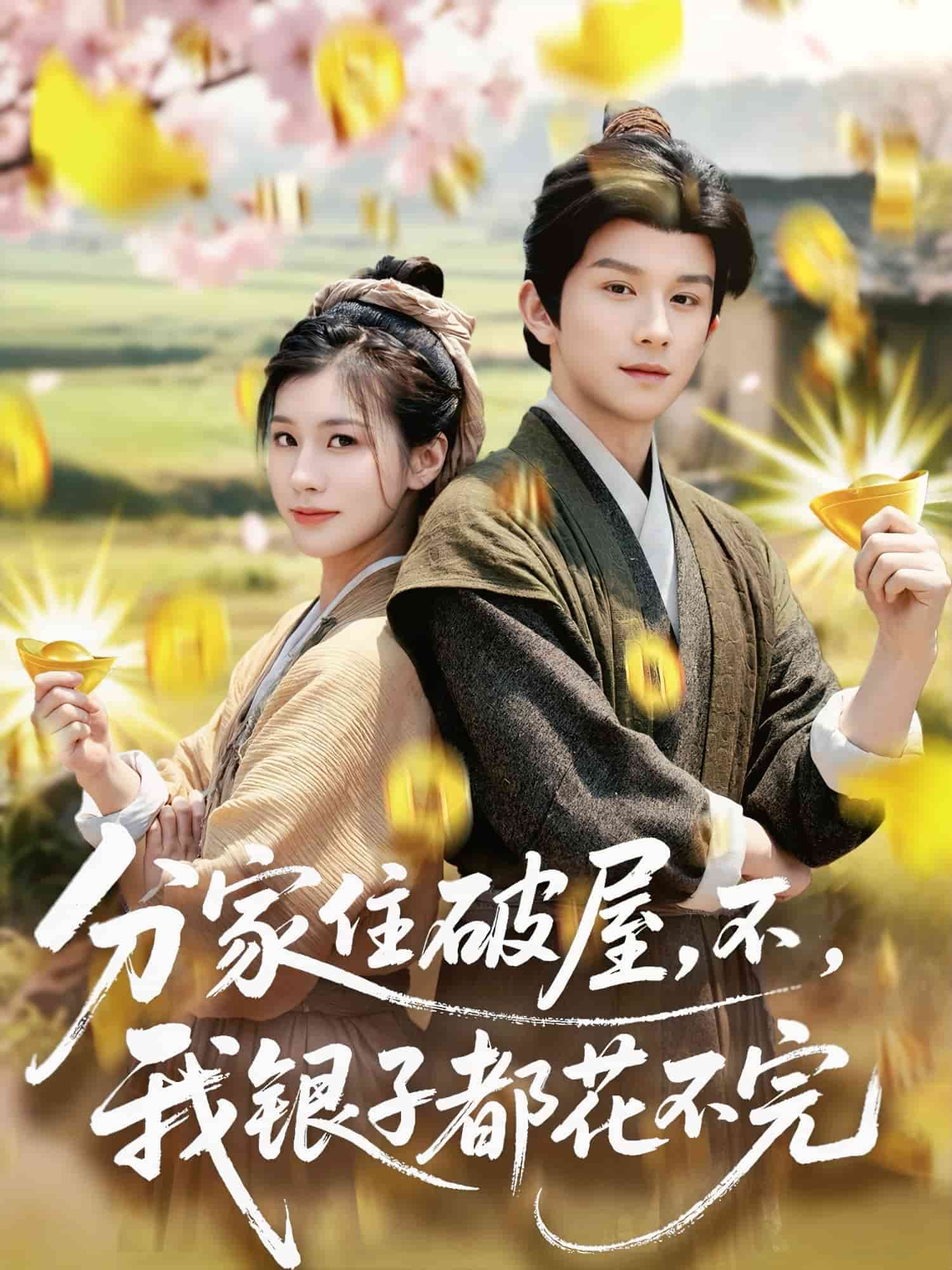 分家住破屋,不,我银子都花不完