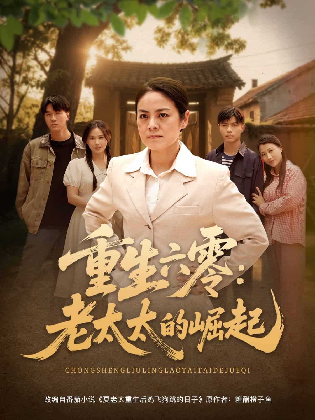 重生六零:老太太的崛起