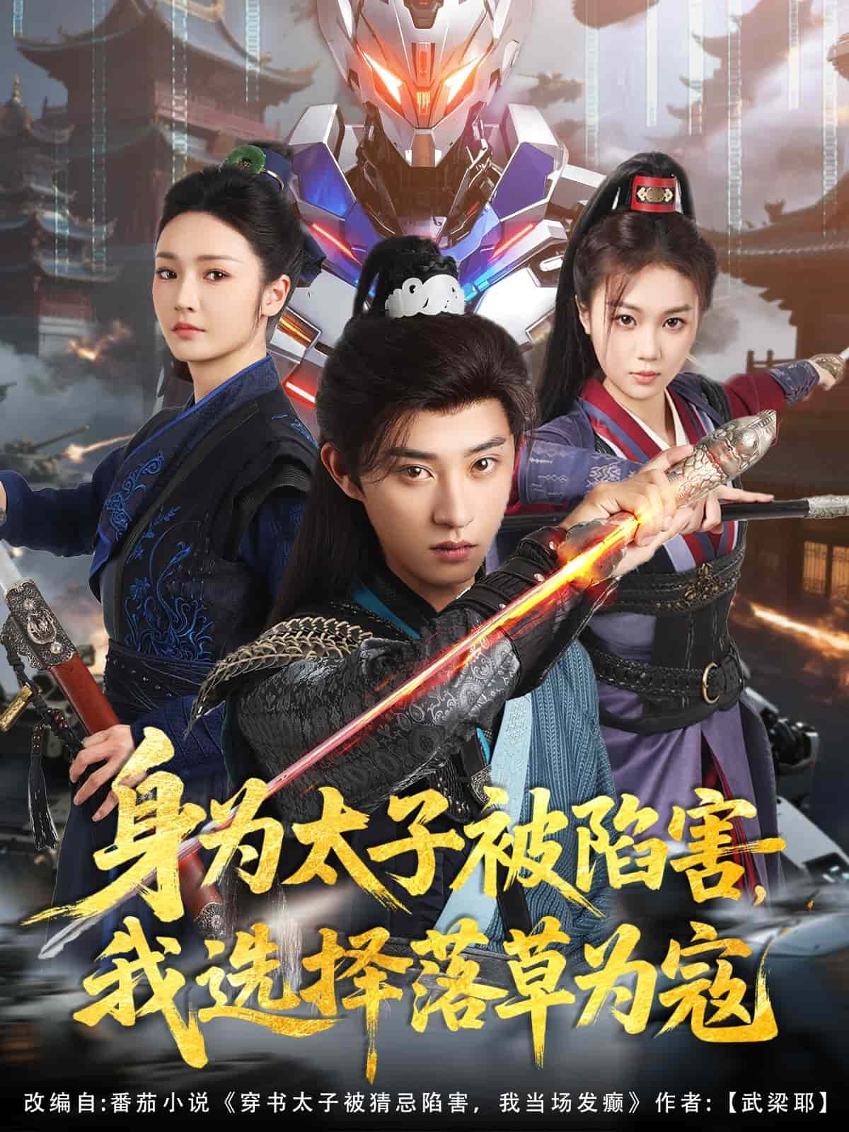 身为太子被陷害,我选择落草为寇