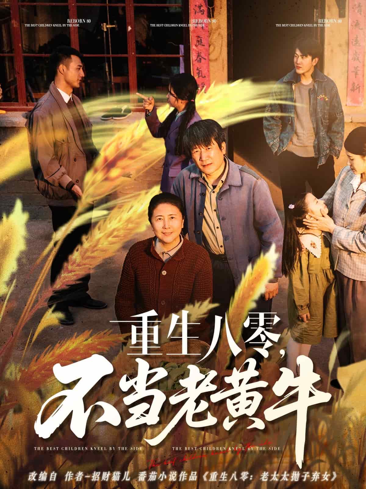 重生八零,不当老黄牛