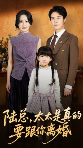 陆总，太太是真的要跟你离婚