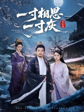 一寸相思一寸短剧