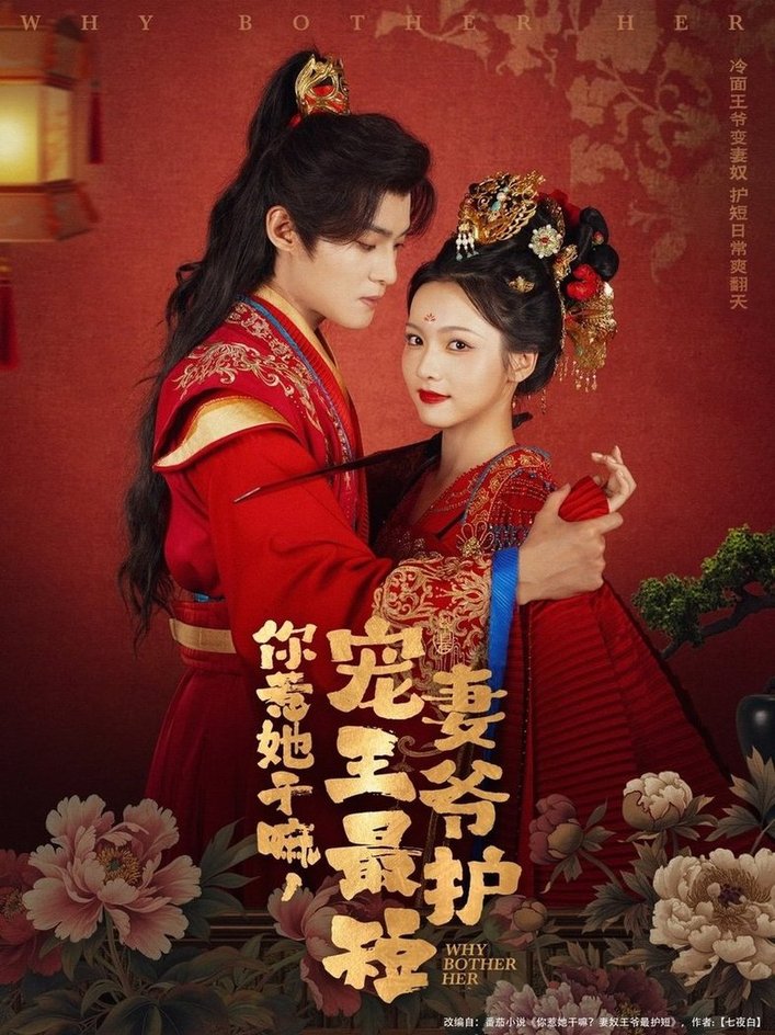 你惹她干嘛,宠妻王爷最护短