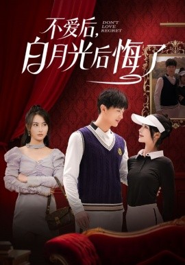 不爱后,白月光后悔了