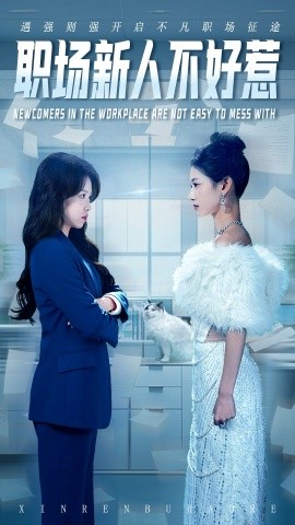 职场新人不好惹